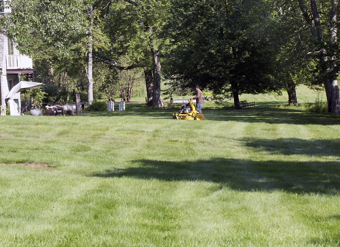 Ferre Landscaping Lawn Services